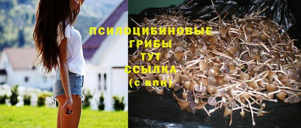 ECSTASY Рославль