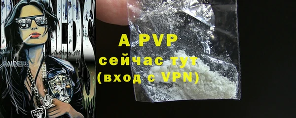 ECSTASY Рославль