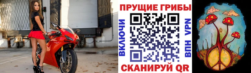 Псилоцибиновые грибы мухоморы  Купить где  Новотроицк 